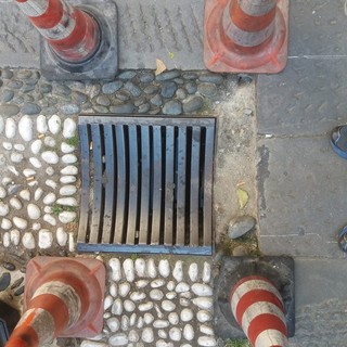 "Salvate il risseu": la segnalazione dai cittadini di Finalborgo