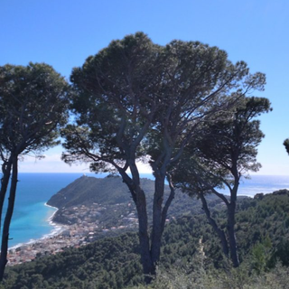 Da Colla Micheri a Poggio Brea, un trekking sulle tracce dell'esploratore norvegese Thor Heyerdahl