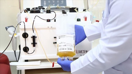 Coronavirus e plasma iperimmune: tutto quello che c'è da sapere Coronavirus e plasma iperimmune: tutto quello che c'è da sapere