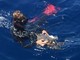 Tartaruga marina gravemente ferita muore a Loano