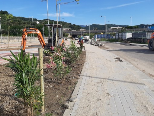 Albissola, con la realizzazione del nuovo parcheggio in località Galaie in arrivo oltre 260 nuove piante Albissola, con la realizzazione del nuovo parcheggio in località Galaie in arrivo oltre 260 nuove piante