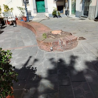 Savona, tagliato il tiglio di piazza Vacciuoli, sarà sostituito con un'altra pianta