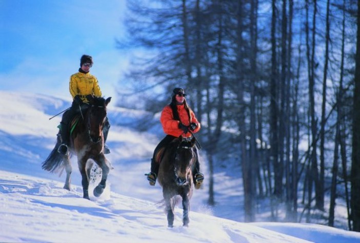 Sassello: nella foresta di Deiva una domenica a contatto con la natura Sassello: nella foresta di Deiva una domenica a contatto con la natura