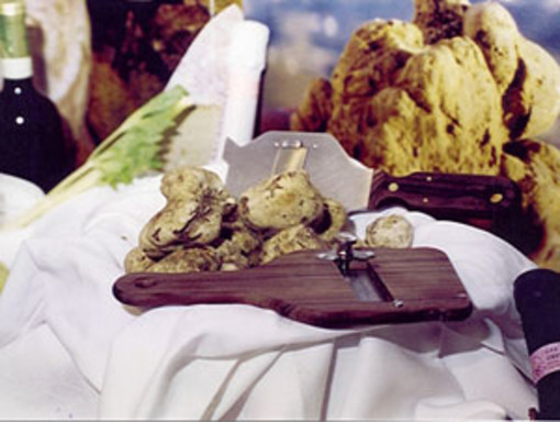 Savona: Paesi e sapori rende omaggio al tartufo Savona: Paesi e sapori rende omaggio al tartufo