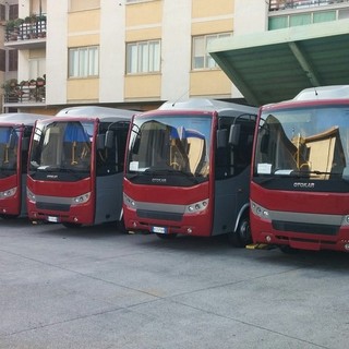 Nuova mobilità per la città Savona, il vice sindaco Arecco analizza i numeri di TPL Linea