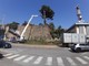 Savona, traffico in tilt tra via Pirandello e corso Tardy e Benech per la potatura di un pino