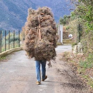 Boissano, tagliano illecitamente 80 kg di erica arborea: sanzionati due cittadini albanesi