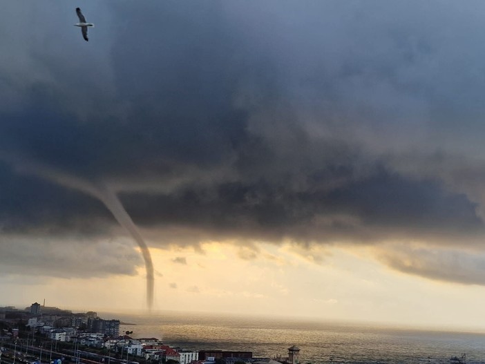 Foto di Sabrina Guano Foto di Sabrina Guano