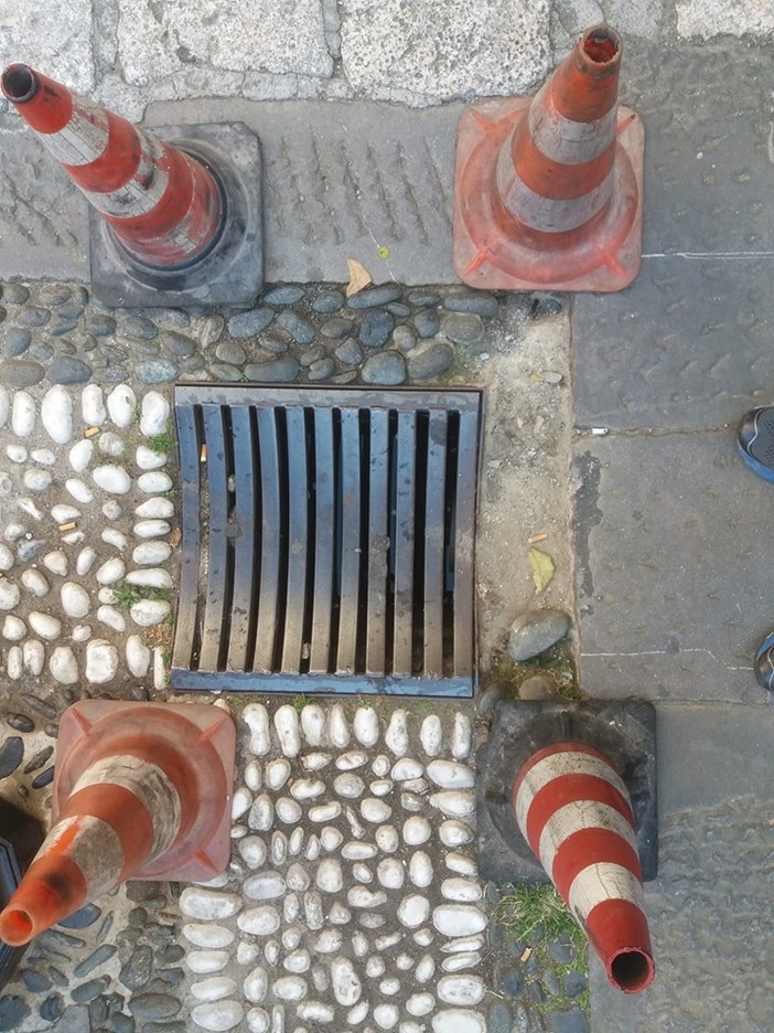 "Salvate il risseu": la segnalazione dai cittadini di Finalborgo