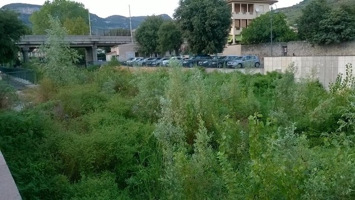 Immagine di repertorio