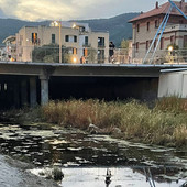 Spotorno, tubo della fognatura rotto la causa dei miasmi alla foce del Crovetto Spotorno, tubo della fognatura rotto la causa dei miasmi alla foce del Crovetto