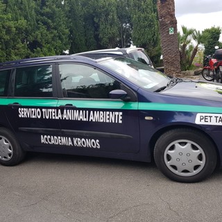 L'Accademia Kronos inaugura nel ponente savonese un 'servizio taxi' per il trasporto di animali domestici