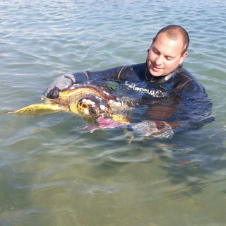 Vado Ligure, soccorsa una tartaruga marina (FOTO)