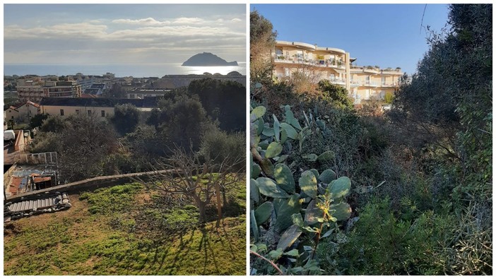 Albenga, terreni comunali pronti a diventare "laboratori" per l'Istituto Agrario Albenga, terreni comunali pronti a diventare "laboratori" per l'Istituto Agrario