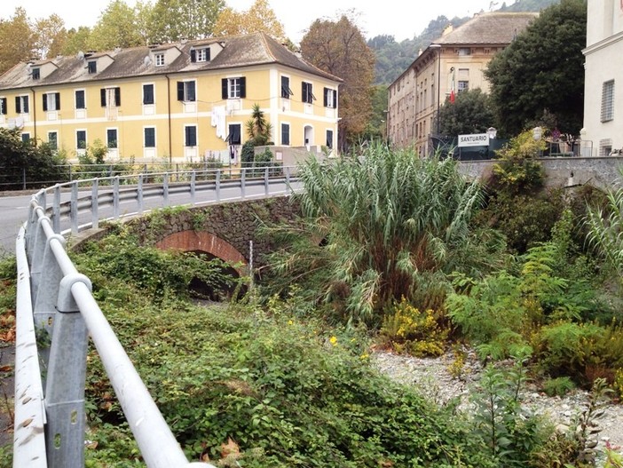 Savona, intervento urgente di pulizia del torrente Letimbro Savona, intervento urgente di pulizia del torrente Letimbro