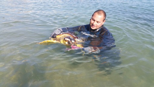 Vado Ligure, soccorsa una tartaruga marina (FOTO) Vado Ligure, soccorsa una tartaruga marina (FOTO)