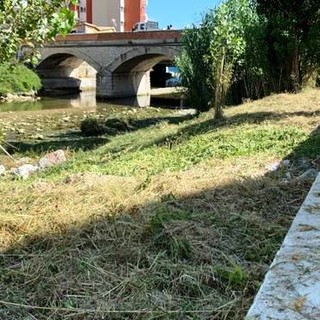 Pietra, ordinanza del sindaco: si potrà dare cibo ai colombi solo nel greto del torrente Maremola