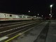 Quiliano, treno travolge due cervi: ritardi al regionale per Ventimiglia