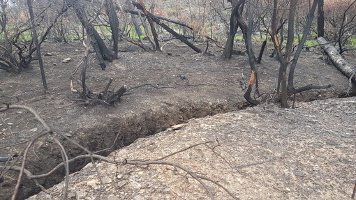 Cogoleto, Claudio Arena: "Il rogo dello scorso marzo ha reso visibili antiche trincee risalenti al conflitto mondiale" Cogoleto, Claudio Arena: "Il rogo dello scorso marzo ha reso visibili antiche trincee risalenti al conflitto mondiale"
