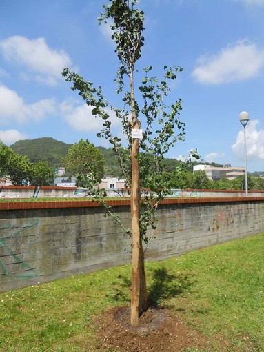 Savona, donazioni a favore del verde pubblico savonese Savona, donazioni a favore del verde pubblico savonese