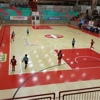 Il Comune di Quiliano investe sugli impianti sportivi: 112mila euro per il Palazzetto dello Sport e 28mila per il "Picasso"