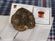Tutto pronto per la XXIV Festa Nazionale del Tartufo a Millesimo