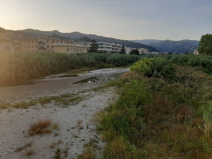 Albissola, via agli interventi di pulizia del torrente Sansobbia e del rio Basco