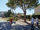 Andora: tagliati alberi pericolanti su tutto il territorio comunale Andora: tagliati alberi pericolanti su tutto il territorio comunale