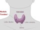 Albenga, visite gratuite per la prevenzione dei tumori della tiroide con ANT