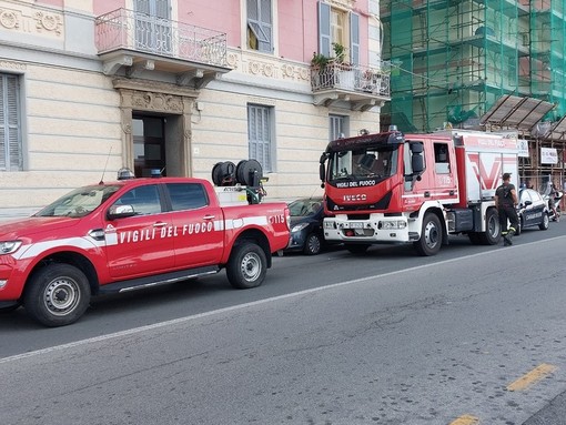 Tragedia sul lavoro a Vado Ligure, Cisl Liguria: "Una vera emergenza nazionale e la situazione continua a peggiorare" Tragedia sul lavoro a Vado Ligure, Cisl Liguria: "Una vera emergenza nazionale e la situazione continua a peggiorare"