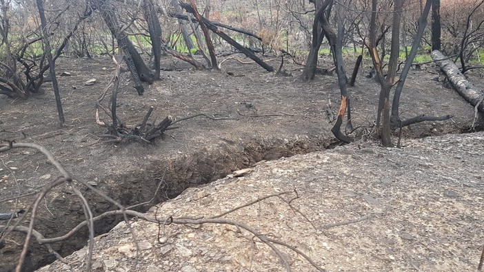 Cogoleto, Claudio Arena: "Il rogo dello scorso marzo ha reso visibili antiche trincee risalenti al conflitto mondiale" Cogoleto, Claudio Arena: "Il rogo dello scorso marzo ha reso visibili antiche trincee risalenti al conflitto mondiale"