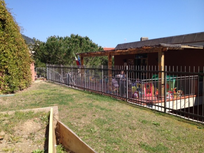 13 aprile a Laigueglia "Tree for Free": arriva l'acero rosso donato dal FAI 13 aprile a Laigueglia "Tree for Free": arriva l'acero rosso donato dal FAI