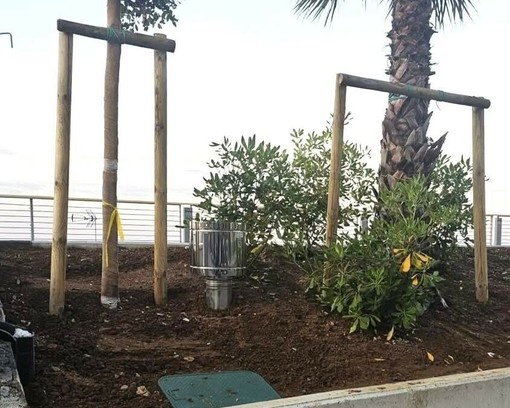 Varazze, polemica sul "tubo" nelle aiuole della nuova passeggiata, la canna fumaria divide la città Varazze, polemica sul "tubo" nelle aiuole della nuova passeggiata, la canna fumaria divide la città