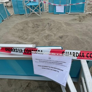 Laigueglia, un'ordinanza per tutelare la nidificazione della tartaruga "Caretta Caretta" sulla spiaggia dei Bagni Diana Laigueglia, un'ordinanza per tutelare la nidificazione della tartaruga "Caretta Caretta" sulla spiaggia dei Bagni Diana