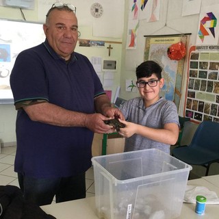Albenga, la tartaruga Emys va a scuola