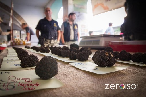 Fiera del tartufo di Millesimo: edizione da record Fiera del tartufo di Millesimo: edizione da record