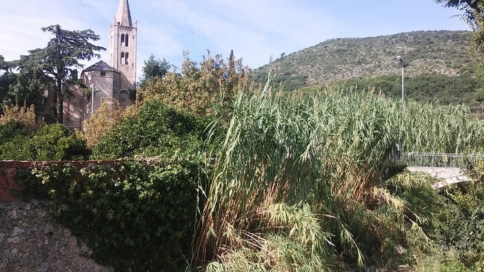 Borgio e Pietra si preparano al maltempo: al via pulizia torrente Bottassano Borgio e Pietra si preparano al maltempo: al via pulizia torrente Bottassano
