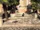 Tovo S.Giacomo: vandali in azione, colpito il monumento ai caduti
