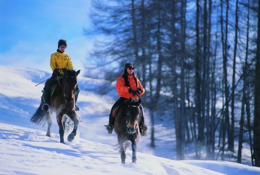 Sassello: nella foresta di Deiva una domenica a contatto con la natura Sassello: nella foresta di Deiva una domenica a contatto con la natura
