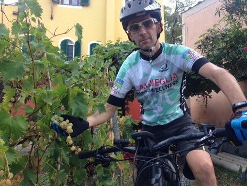 Turismo in vigna: le reti d’impresa “Viti in Riviera” e “Alassio Fun & Outdoor” si uniscono per promuovere il turismo enogastronomico Turismo in vigna: le reti d’impresa “Viti in Riviera” e “Alassio Fun & Outdoor” si uniscono per promuovere il turismo enogastronomico