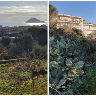 Albenga, terreni comunali pronti a diventare "laboratori" per l'Istituto Agrario