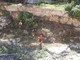 Zuccarello pulisce il torrente Neva (FOTO) Zuccarello pulisce il torrente Neva (FOTO)