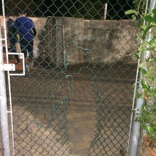 Foto tratta dalla pagina Facebook: "ASD Toirano Futsal"