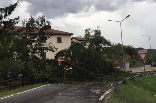 Tromba d'aria a Piana Crixia: tetti scoperchiati e diversi alberi abbattuti