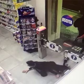 IN copertina: un'immagine della tentata rapina a una farmacia savonese durante il turno di apertura. In allegato: la copertina del report su Savona del criminologo Padovano