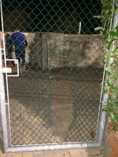 Foto tratta dalla pagina Facebook: "ASD Toirano Futsal" Foto tratta dalla pagina Facebook: "ASD Toirano Futsal"