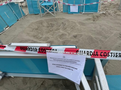 Laigueglia, un'ordinanza per tutelare la nidificazione della tartaruga "Caretta Caretta" sulla spiaggia dei Bagni Diana
