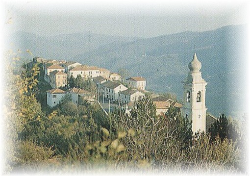 Testico al Festival Nazionale del Biologico e delle Buone Energie