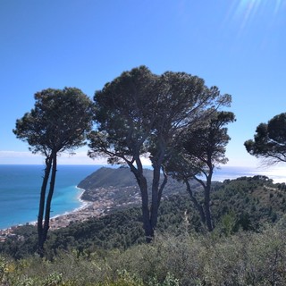 Andora-Colla Micheri-Poggio Brea: trekking sulle tracce dell'esploratore norvegese Thor Heyerdahl