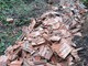 Cengio, abbandona rifiuti edili nel bosco: sanzionato dai carabinieri forestali